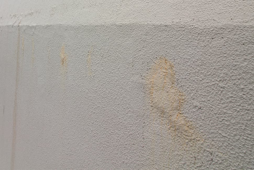 Latest Products Image